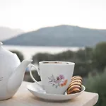 Petroula Ii