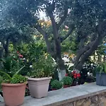 Appartement Petroula Ii *