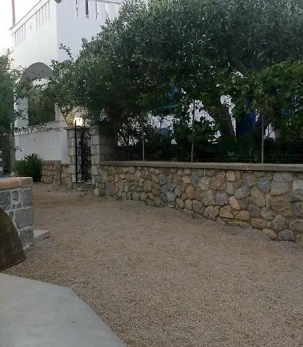 Petroula Ii *