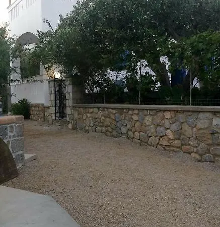 Petroula Ii *