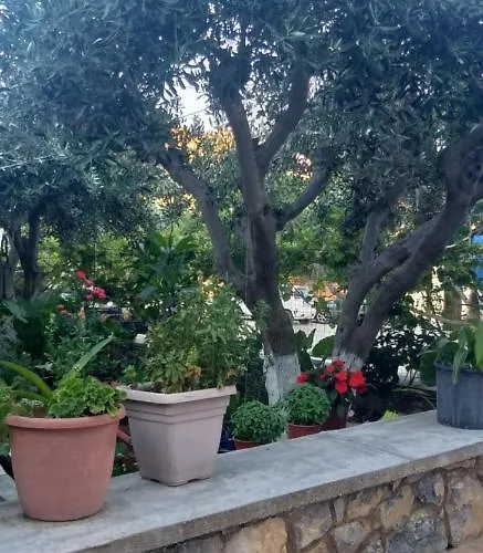 شقة Petroula Ii *